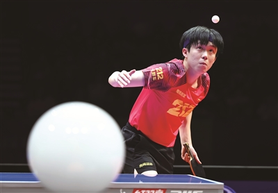 19体育平台新体育网(图1)