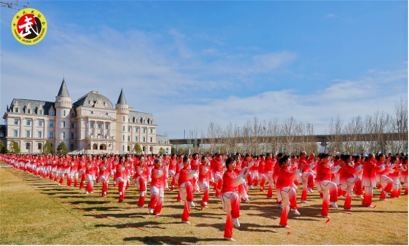 第一届亚洲太极拳日展演活动现场 (2).png 第一届亚洲太极拳日展演活动现场 (2).png