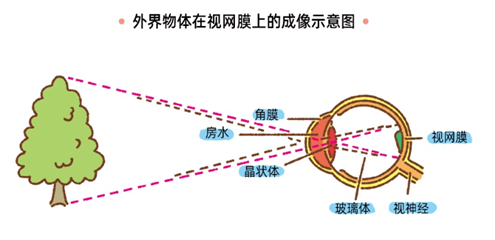 0910-眼睛1.png