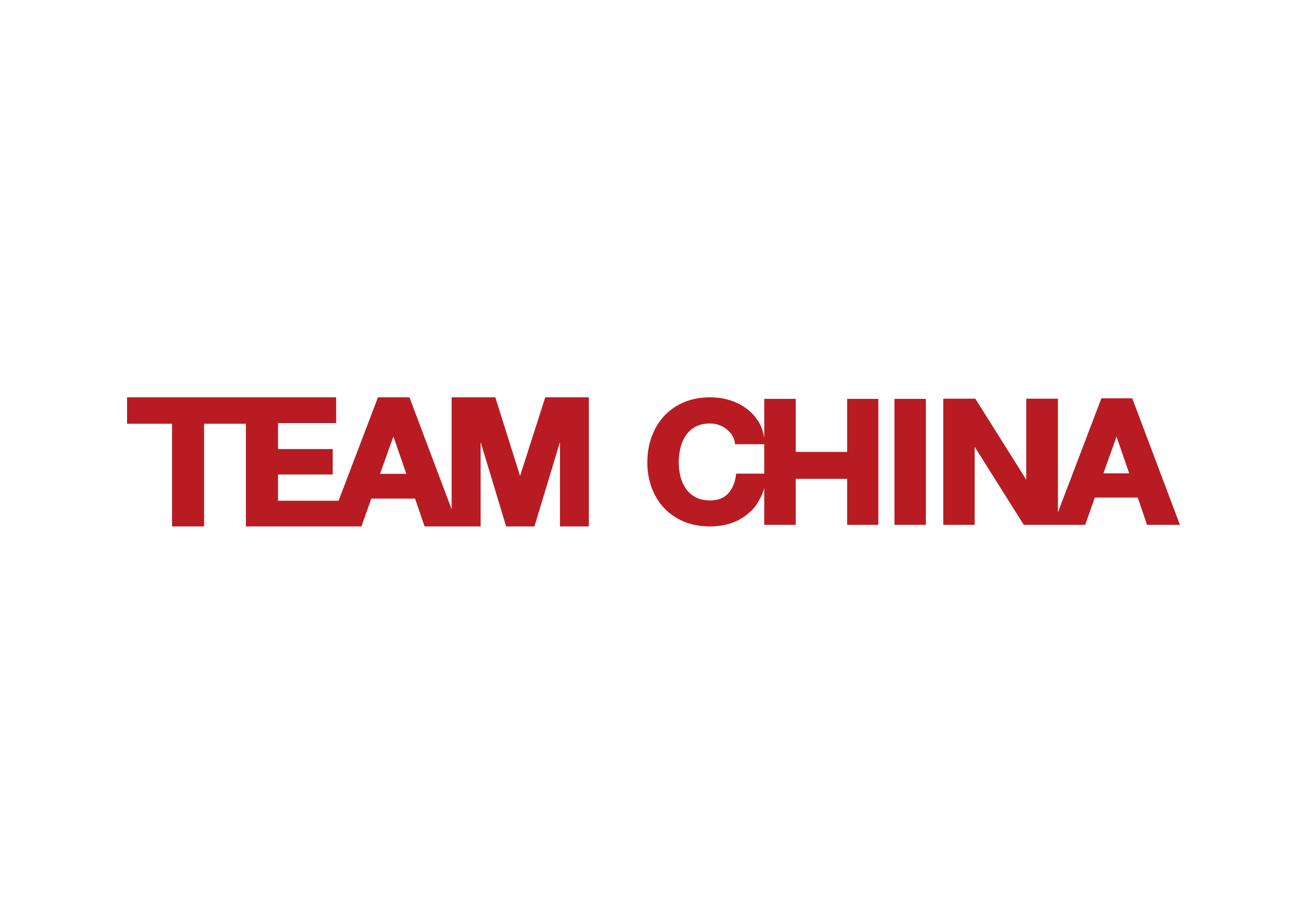 TEAM CHINA 横版（logo希望多露出横版的形式）.png