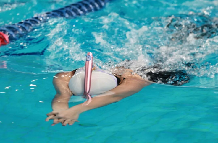 蹼泳2.png 蹼泳2.png