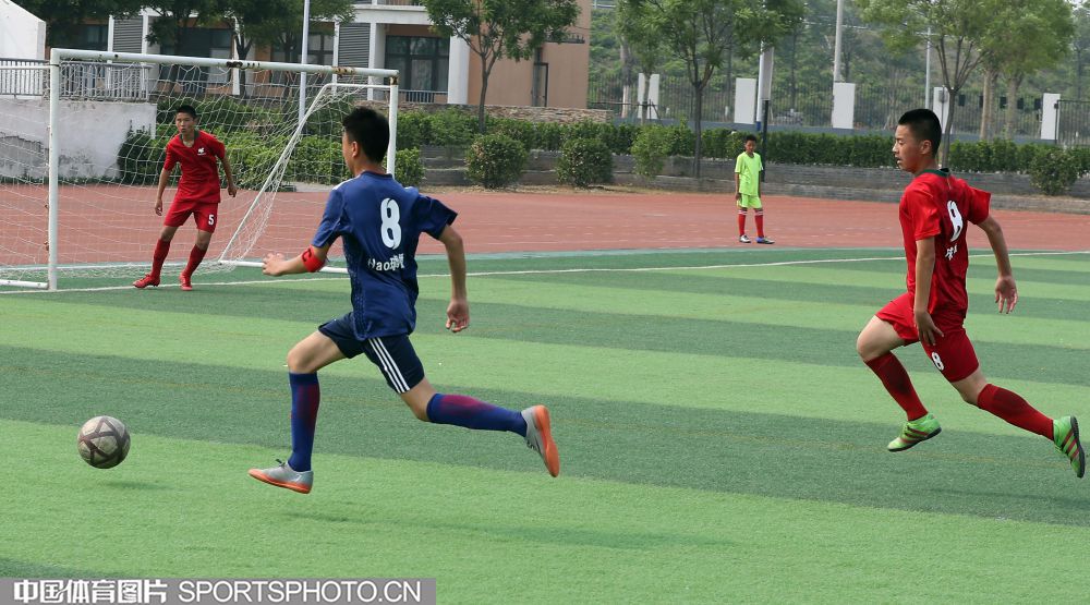 W_20019790_18051215_wxm.jpg W_20019790_18051215_wxm.jpg
