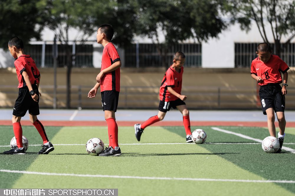 第一体育网全面解析最新赛季动态全方位呈现热门球队转会风云与战术演变