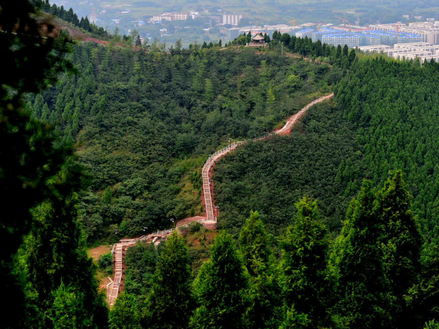 1219-社区1.png