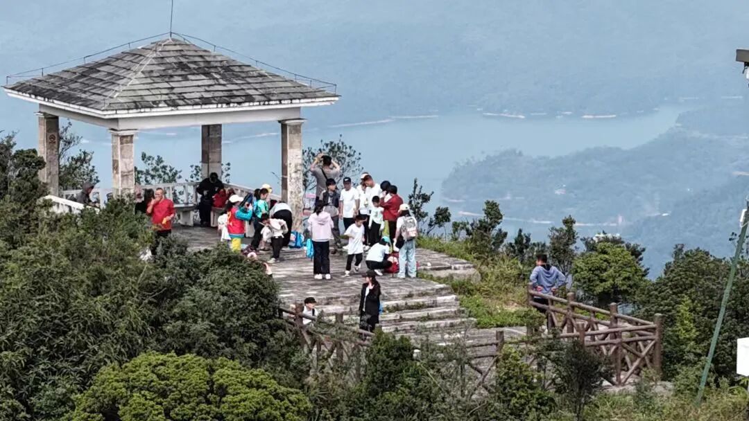 W020251031381373750070.jpg W020251031381373750070.jpg