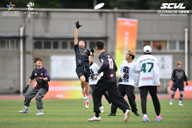 W020251102508599759309.png W020251102508599759309.png