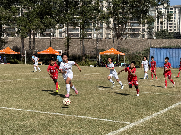 佛山.jpg 佛山.jpg