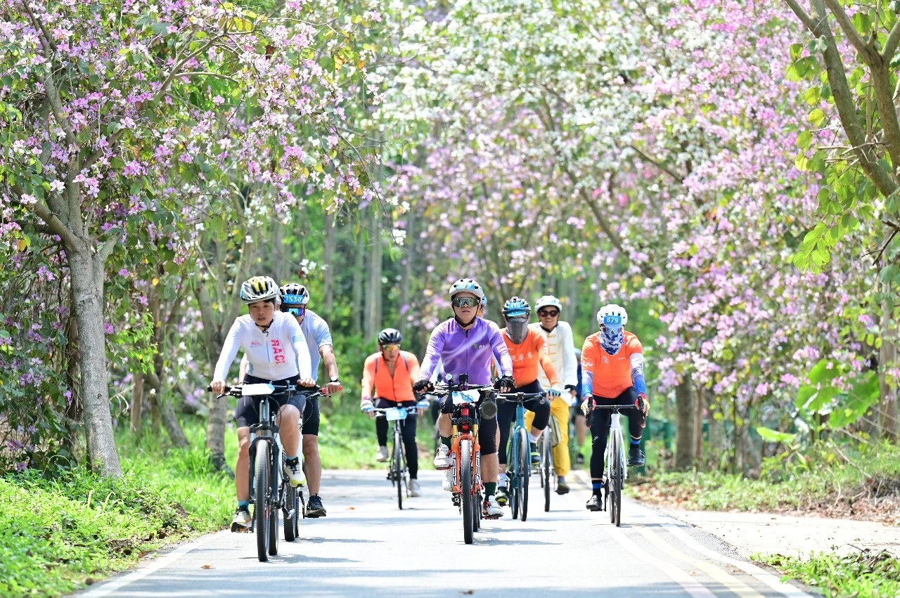 自行车2.jpg 自行车2.jpg