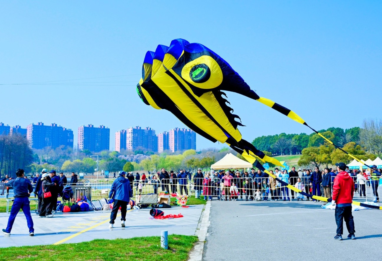 360截图20260323114036725.jpg 360截图20260323114036725.jpg