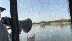 4.gif