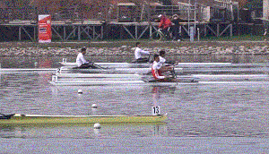 22.gif