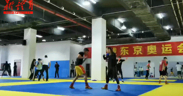 003.gif