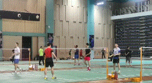 5.gif