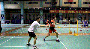 6.gif