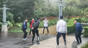 9.gif