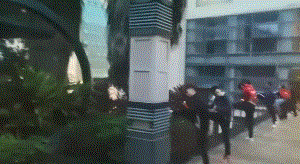 10.gif