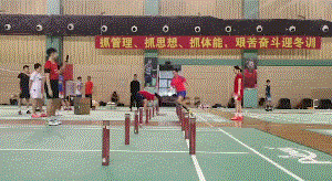 12.gif