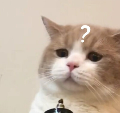yt 疑问表情包.jpeg