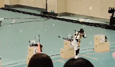image2.gif