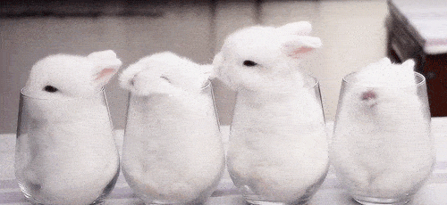 image1.gif image1.gif