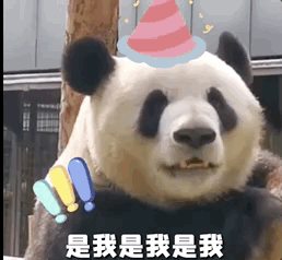 萌兰2.gif 萌兰2.gif