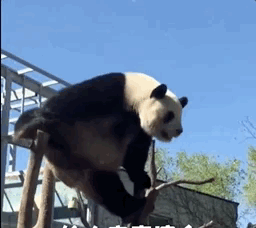 萌兰1.gif 萌兰1.gif