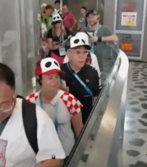 看熊猫.gif 看熊猫.gif