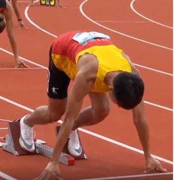 GIF.gif GIF.gif