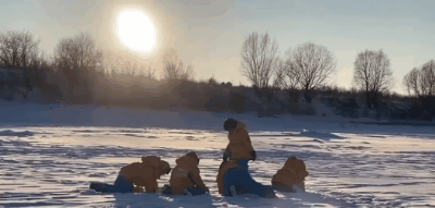 1砂糖橘.gif 1砂糖橘.gif