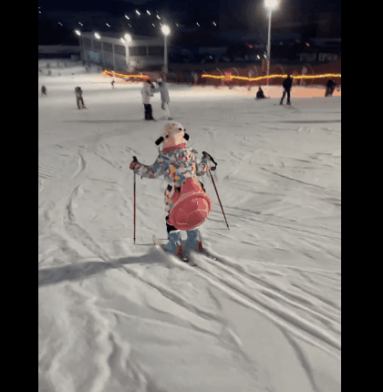 滑雪.gif 滑雪.gif