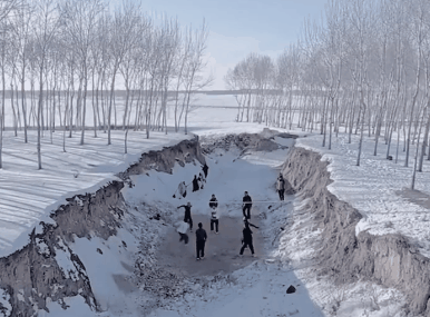 image2.gif image2.gif