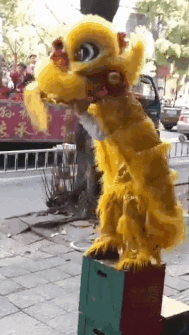小狮子01.gif