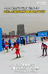 2.gif 2.gif