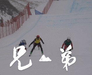 2.gif 2.gif