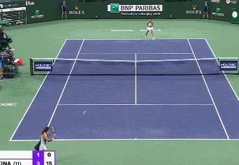 2.gif 2.gif