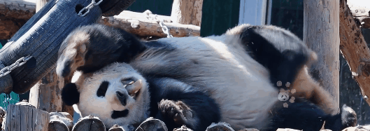 image2.gif image2.gif