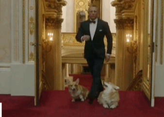 image12.gif