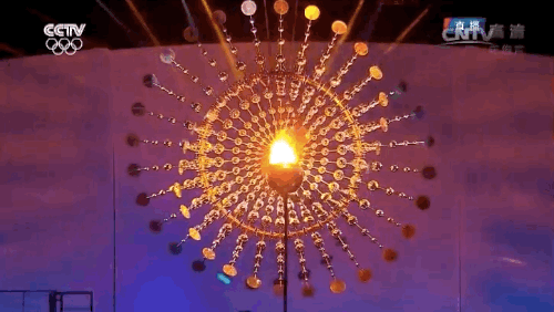 image13.gif