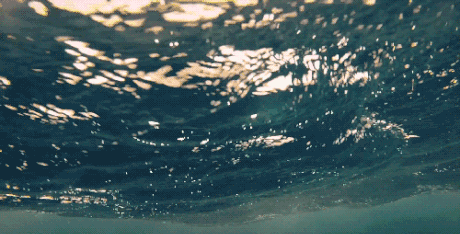 image5.gif