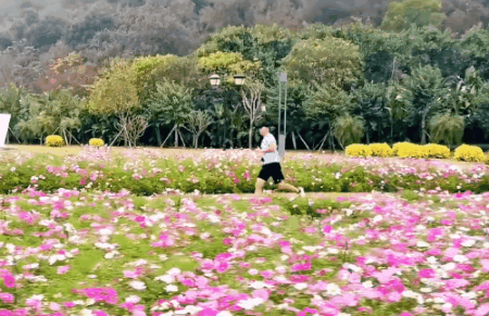 image1.gif image1.gif