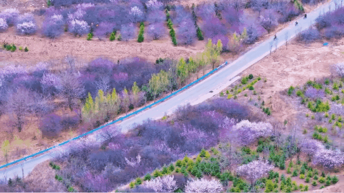 image2.gif image2.gif