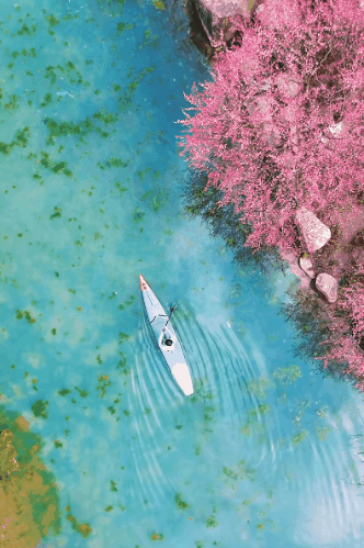 image3.gif image3.gif