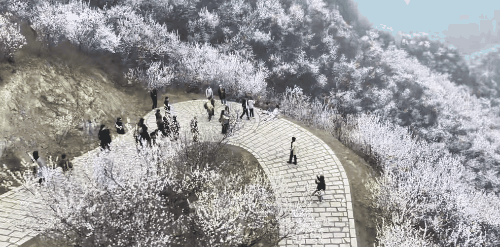 image4.gif image4.gif