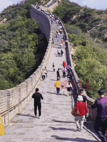 自然体育课3.gif 自然体育课3.gif