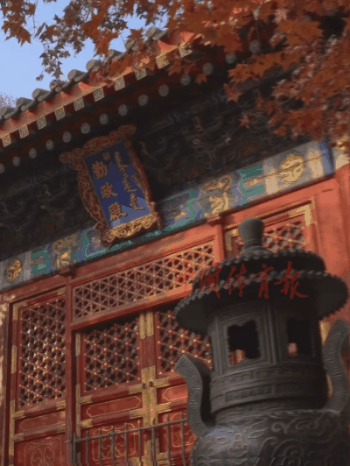 自然体育课4.gif 自然体育课4.gif