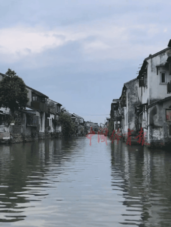 自然体育课6.gif 自然体育课6.gif