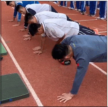 6.gif