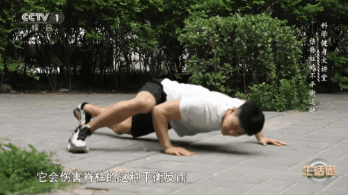 鳄鱼爬06.gif