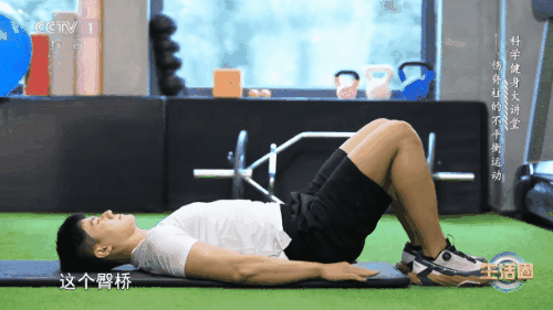 臀桥01.gif