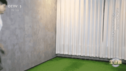 毛巾训练01.gif